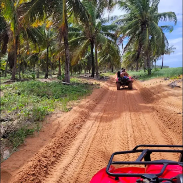 RÉVEILLON - Maceió - AL 27/12 a 04/01 - Imagem 14