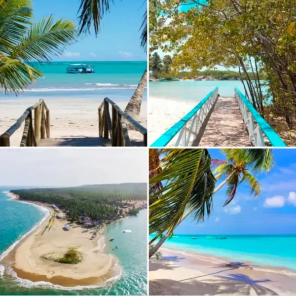 RÉVEILLON - Maceió - AL 27/12 a 04/01 - Imagem 6