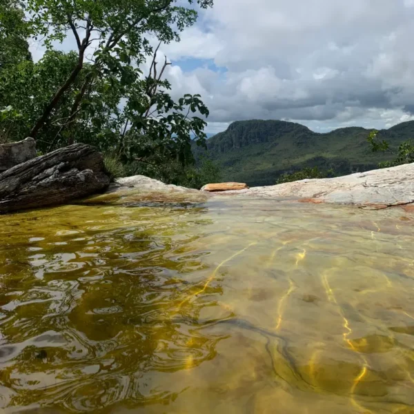 1º FORRÓ CHAPADA - 14 a 16 de Novembro - Imagem 13